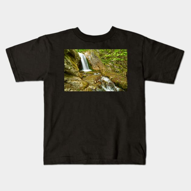 Waterfall on a mountain river Kids T-Shirt by naturalis